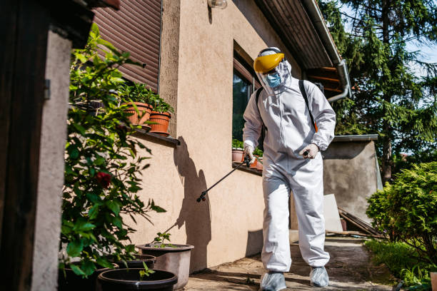 Best Affordable Pest Control Services  in Edina, MN