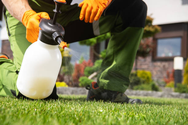 Best Exterminator Services  in Edina, MN