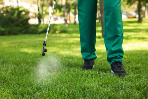 Best Insect Control  in Edina, MN