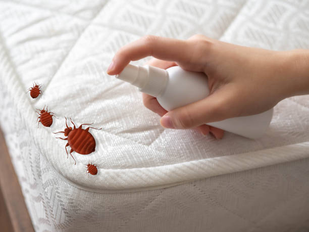 Best Pest Control Near Me  in Edina, MN